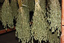 Dried Botanicals