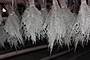 Dried Botanicals